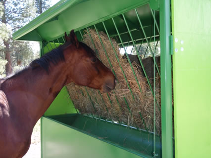 a content and happy horse eating hay from the automated unit