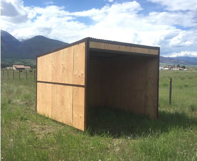 10x10 run in shed kit
