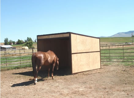 Horse Loafing Shed Kits And Feeders