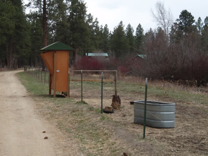 fenceline hay feeder